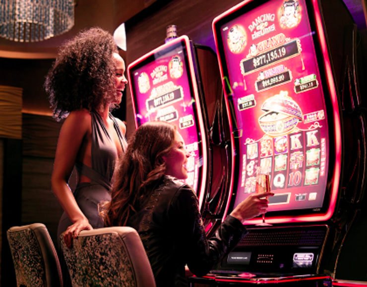 229bet