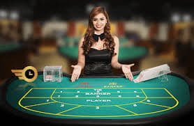 229bet
